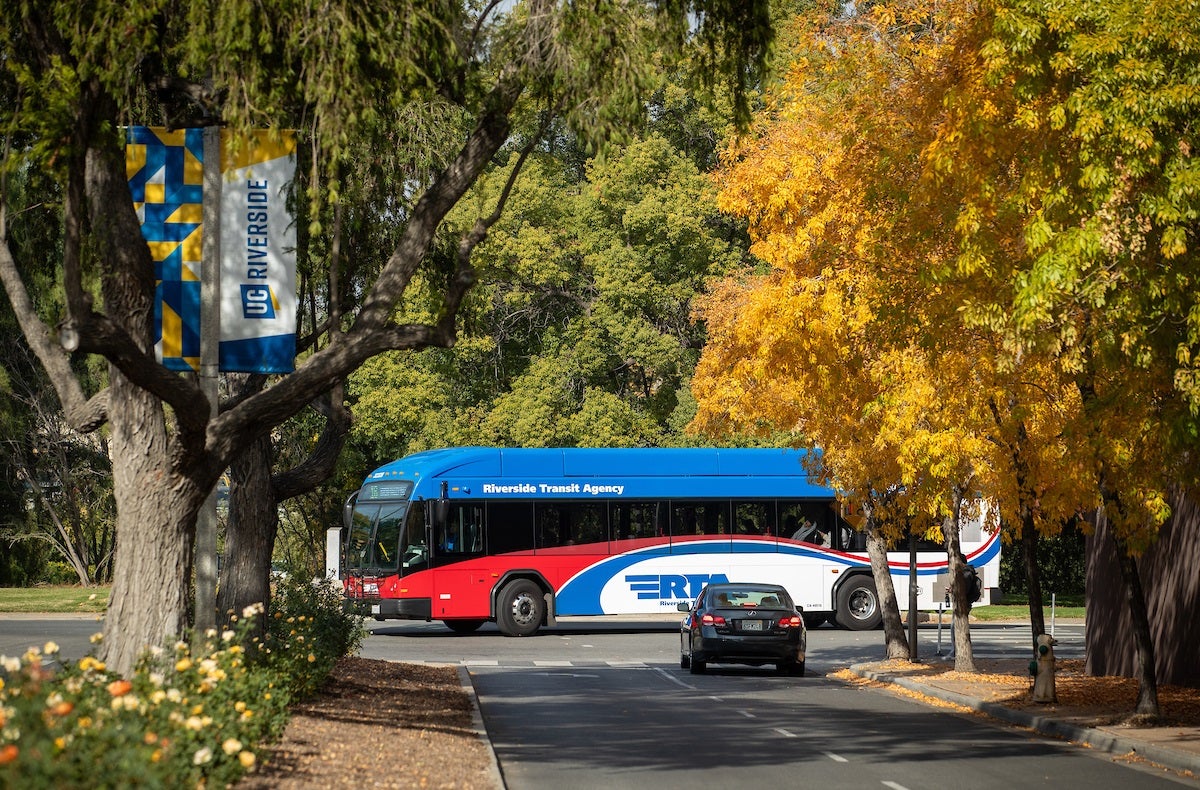 RTA Bus