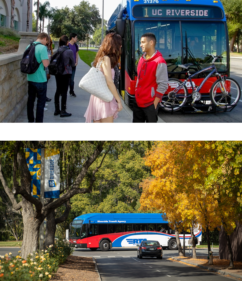 RTA UCR Bus