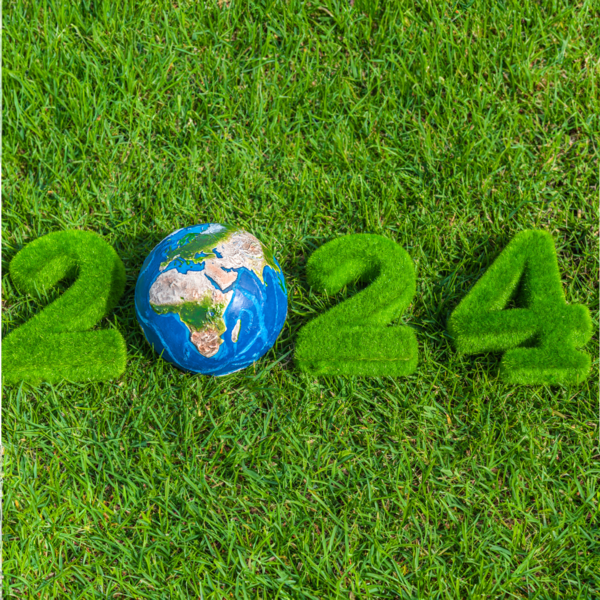 New Year's Resolutions Web Story